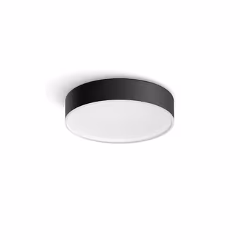 Philips Hue plafondlamp Enrave zwart - warm tot koelwit licht 10W - Ø 26 cm - met 1 dimmer switch