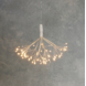 Dandelion hangend 80LED