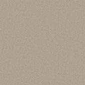 Kleurstaal tapijt montana champagne 190730