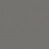 Kleurstaal tapijt kentucky muisgrijs 190484