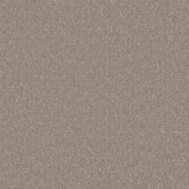 Kleurstaal tapijt oklahoma beige 190726