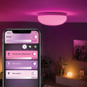 Philips Hue plafondlamp Flourish wit