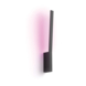 Philips Hue Wandlamp Liane zwart