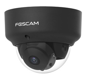 Foscam D2EP Zwart