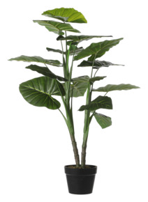 Mica Decorations kunstplant Taro 100cm