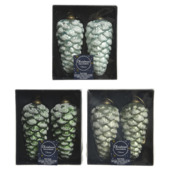 Kerstbal dennenappel glas divers