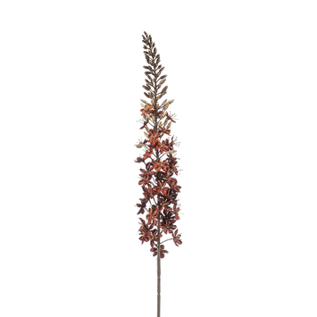 Emerald Eremurus zijde oude lijn bruin 105cm