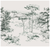 Fotobehang Jaxx (dessin 118752)