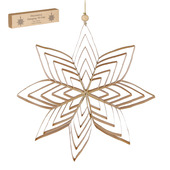 vtwonen ornament papier ster goud