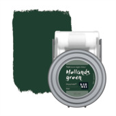 Karwei Kleurtester muurverf mat hollands groen 55 ml