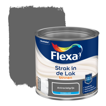 solo Scheermes Verrijken Flexa Strak in de lak voor binnen antraciet grijs zijdeglans 250 ml kopen?  flexa-strak-in-de-lak | Karwei