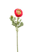 Emerald kunstbloem Ranunculus spray 50 cm