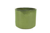 Susan green D31 H27