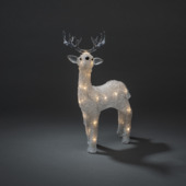 LED rendier acryl 19x31,5cm