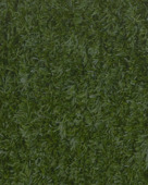 Streng Canada 25 m groen - 4 stuks