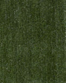 Haag Canada Super groen 180 x 300 cm