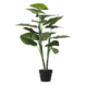 Taro in pot groen - h100xd70cm