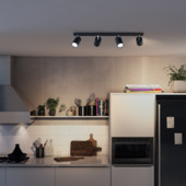 Philips spot Meranti 4-lichts zwart kopen? Opbouwspots