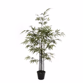 Bamboe in pot groen - h120xd75cm