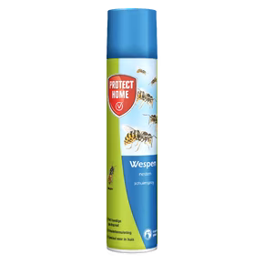 Protect Home wespenschuim spray 400 ml