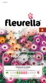 Fleurella zaden middagbloem gemengd