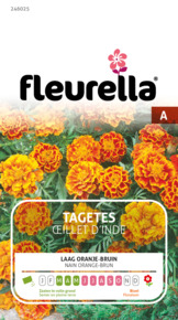 Fleurella zaden tagetes oranje/bruin