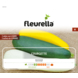 Fleurella zaden courgette multicolor