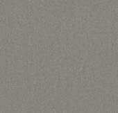 Tapijt kamerbreed Nottingham lichtgrijs 400 cm - per cm