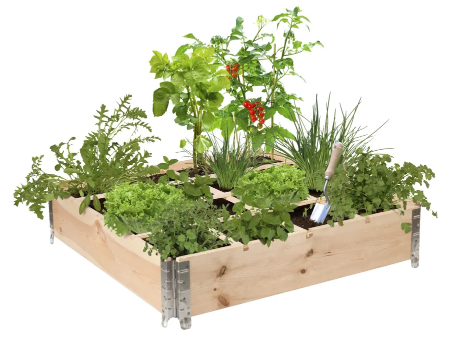 Vierkante moestuinbak 100x100x20 cm