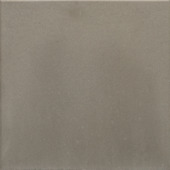 Stonewish Terrastegel Tuile grijs 50x50x5 cm