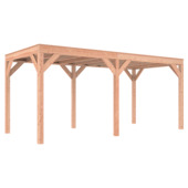 Overkapping Douglas 545x255cm a-symmetrisch