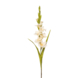 Gladiolus spray cream 93cm