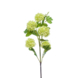 Viburnum spray x5 75cm lt green