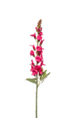 Antirrhinum spray beauty 78cm