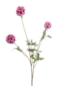 Emerald kunstbloem Scabiosa spray roze 72cm