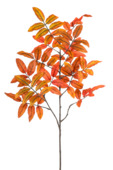 Sorbus spray oranje 90cm