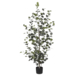 Eucalyptus in pot groen - h150xd30cm