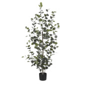 Eucalyptus in pot groen - h150xd30cm
