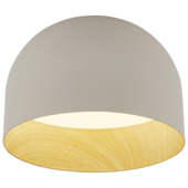 KARWEI plafondlamp Ruben ø20x13,5cm