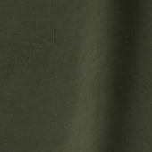 Gordijn Boudewijn 2615 bladgroen