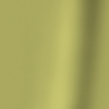 Vouwgordijn Wouter. 1621 lentegroen