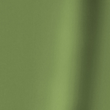 Gordijn Monty 1594 appel