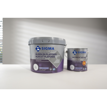 Sigma Muurverf Reinigbaar Mat RAL 7032 2 5 Liter Kopen Muurverf Binnen 