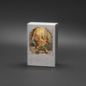 Waterspinner boek met roodborstjes met ledverlichting