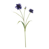 Cornflower spray donker blauw 75cm