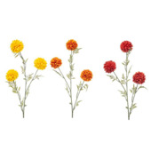 Tagetes spray mix 80cm