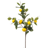 Lemon fruit spray 95cm