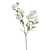 Jasmin spray wit 82cm