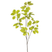 Schefflera spray groen 90cm