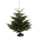 Nordmann Kerstboom 150-175 cm